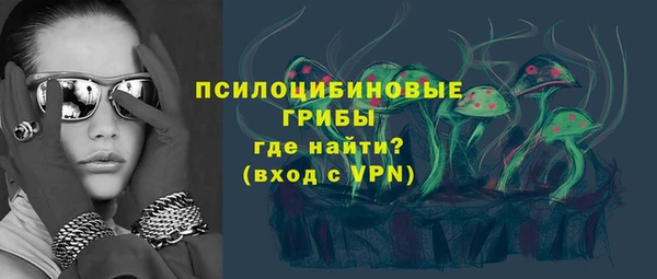 PSILOCYBIN Магас