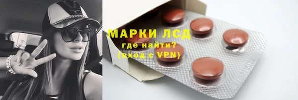 PSILOCYBIN Магас