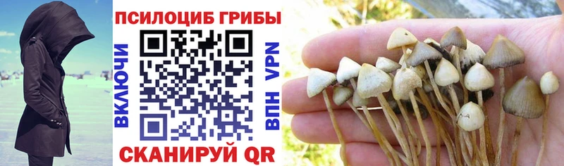 Галлюциногенные грибы Cubensis  Меленки 