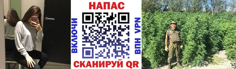 Шишки марихуана VHQ  Меленки 
